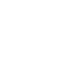 githubs logo